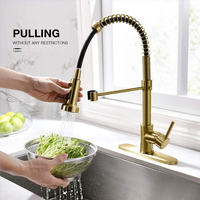 Robinet de cuisine contemporain Laiton Argent Or Flexible Pull Out Spring Robinet de cuisine Pull Down Pulvérisateur Robinets d'évier de cuisine