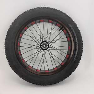 <span class=keywords><strong>Roue</strong></span> arrière à rayons 20 pouces avec moyeu adapté au frein à disque, jante de <span class=keywords><strong>roue</strong></span> de vélo - Product Image 5