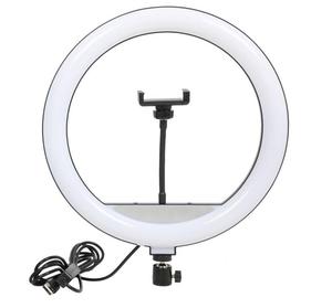 Lampe LED 14 pouces avec trépied de 2 m pour diffusion en direct sur TikTok, éclairage annulaire pour selfie - Product Image 4