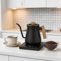 Bouilloire à café col de cygne avec bec fin pour le café filtre, débit d'eau précis pour le café à la cuillère, idéale pour la maison et le bureau