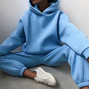 Rahat moda Hoodie boş kazak kazak kalınlaşmış uzun kollu ter pantolon iki parçalı takım elbise Hoodie