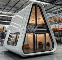 Vente directe du fabricant, nouvelle conception de maison en bois avec structure métallique galvanisée, maison triangulaire, hôtel de type homestay