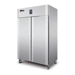 Restaurant Commercial Fridge Frezer 2 Door Refrigerator Wholesale Suppliers Congelateur Frigo Kulkas Frigorifero Upright Freezer