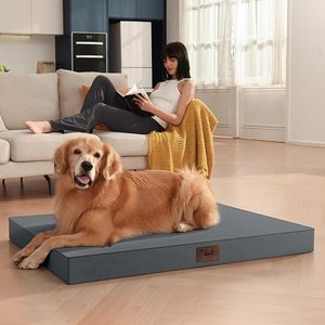 Nid pour animaux de compagnie universel, détachable, lavable, imperméable, antidérapant, résistant aux morsures de chien, tapis de couchage pour chat, toutes saisons - Product Image 1
