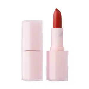 Make up produsen grosir langsung Label pribadi Matte Cream Lipstik tahan air