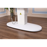 Table de soin esthétique électrique à 2 moteurs, réglable en hauteur, avec port USB, pour salon, spa, clinique – Vente directe usine
