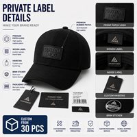 Casquette de baseball à 6 panneaux avec logo personnalisé, vente en gros, broderie en coton, faible MOQ, casquettes promotionnelles