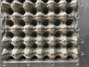 Đúc bột giấy nhôm/đồng/nhựa khay trứng khay hk66b mô hình ISO9001 được chứng nhận giải pháp đóng gói bền vững sử dụng chất thải - Product Image 3