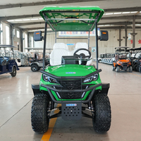 Voitures de golf de chasse fabriquées en Chine, chariots de golf agricoles avec compteur professionnel, buggies de golf pour clubs