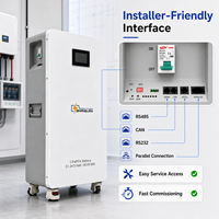 Paket Baterai LiFePO4 Grade A 51.2V 314Ah 16kWh Sistem Penyimpanan Energi Rumah untuk Tenaga Surya