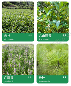 Экстракт растительного масла, масло-переносчик, масло для ухода за кожей, натуральные органические 100% холодного отжима, чистый бораго, лекарственный - Product Image 6