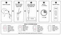 Kit de test rapide de la Brucella canine pour les cliniques vétérinaires et les éleveurs, dépistage pré-maternité, sérum/sang total, 10 min, ISO13485, commande en gros