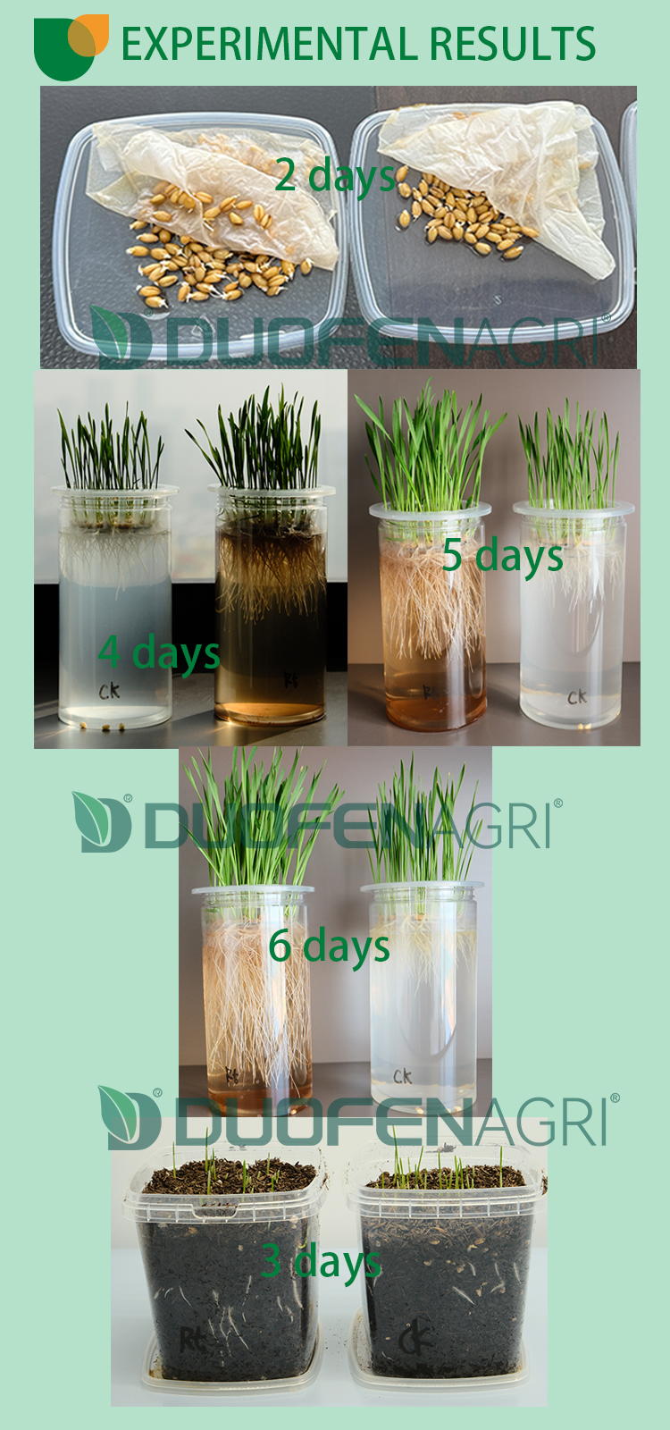 Wholesale Liquid NPK Humic Acid Fertilizer Manufacturer image 5