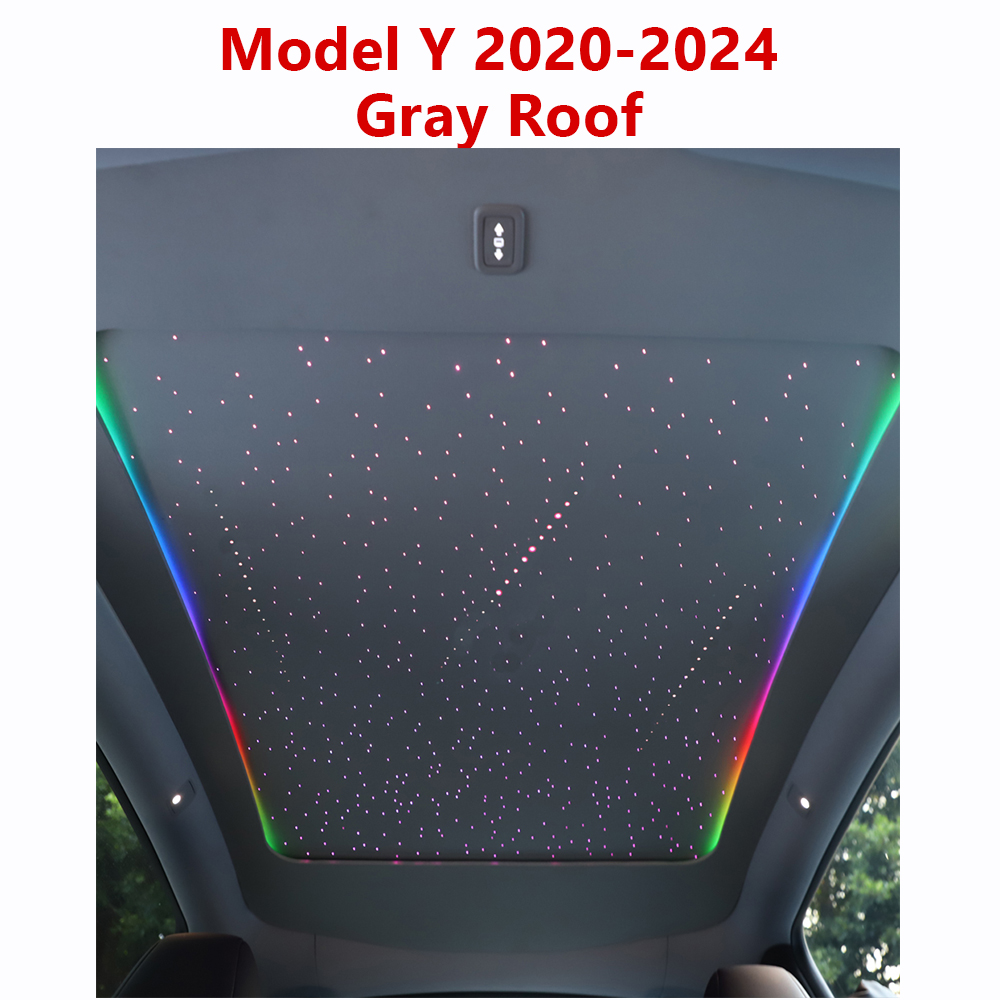 Modelo Y 2020-2024