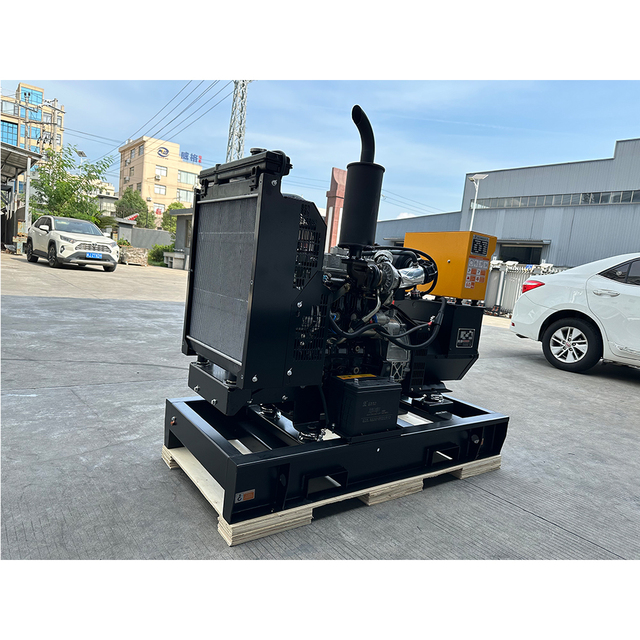 11kw 15kva 16kva 15kw 3 Phase Low Speed Biomass Stille Generator diesel 10kw lpg Generator