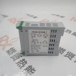 FE300-30100B F300-101000-15D ตัวควบคุมการเผาไหม้ FE300 สำหรับ TAIE STOCK 1000 - Product Image 5