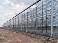 Grote, intelligente glazen kas voor hydroponische teelt van groenten, fruit en bloemen.