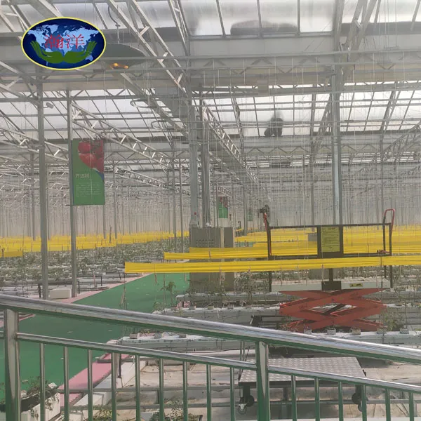 Venlo ประเภท Hydroponic ระบบการเกษตรหลายช่วงเรือนกระจกในเชิงพาณิชย์บ้านแก้วสีเขียวสำหรับผัก