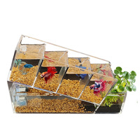 Aquarium Moderne Créatif pour Poissons Betta, en Acrylique, de Bureau, 150 ml, Multi-Compartiments, Zone d'Isolation, Filtre Auto-Circulant, Écologique, Sans…