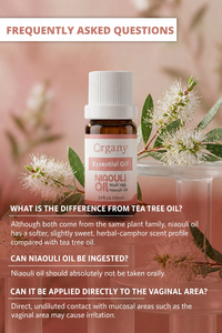 Factory Supply Bulk Niaouli Essential <b>Oil</b> Melaleuca quinquenervia Steam Distilled for Aromatherapy Cosmetics Skincare <b>Diffuser</b> - Product Image 3