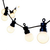 Bombilla LED Inteligente G50 con Cambio de Color RGB, IP68, para Jardín, Camino, Carpa, Decoración de Fiestas, Bajo Voltaje DC12V 1W