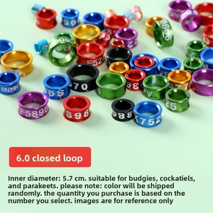 Kleurrijke Aluminium <span class=keywords><strong>Ring</strong></span> Gegraveerde Witte Papegaai Enkel Vogel <span class=keywords><strong>Ring</strong></span> Duiven Ringen - Product Image 6