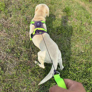 Correa Retráctil Automática Resistente para Perros de <span class=keywords><strong>1</strong></span>.5M, <span class=keywords><strong>2</strong></span> en <span class=keywords><strong>1</strong></span>, Arnés y Correa para Mascotas, Juego de Correas para Perros Pequeños, Medianos y Grandes - Product Image 2