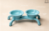 Double gamelle surélevée pour animaux de compagnie, profil bas et stable, double gamelle pour chats, vente en gros, support OEM ODM, personnalisation