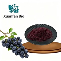 Pasokan Pabrik Ekstrak Anthocyanin Blueberry Berkualitas Tinggi 25% 40% Bubuk Grade Makanan Kemasan Drum Vakum