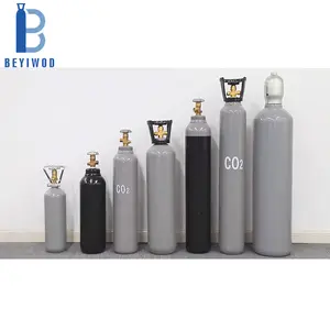 BEYIWOD 2L 3L 4L 5L 10L 20L 30L 40L 50L Kapazität CO2-Flasche CO2-Bierflasche Gasflasche