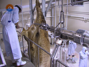 Chaîne de traitement d'usine d'abattoir de vache composants de noyau moteur de roulement de pompe à moteur transportent la machine de rail pour l'abattage de bétail - Product Image 4