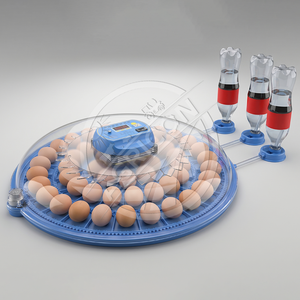 Mini Home <strong>Egg</strong> Incubator with Smart Temperature Control and Automatic <strong>Egg</strong> Turning for Poultry Hatching - Product Image 2