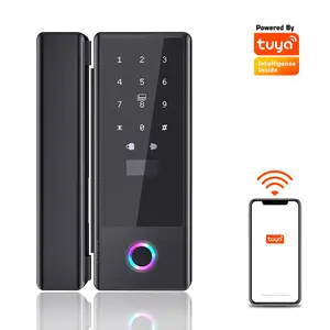 Wifi Afstandsbediening Tuya App Pin Code Cerradura Inteligente Biometrische Vingerafdruk Digitale Slimme Glazen Deurslot Voor Kantoor