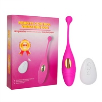 Kabelloser Tragbarer Ei-Vibrator G-Punkt Klitoris Sexspielzeug Höschen Ferngesteuerter Vibrator-Ei