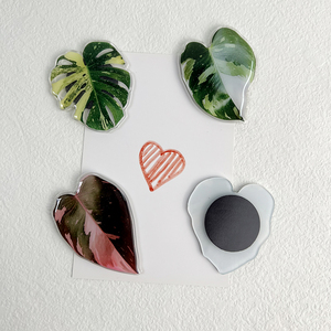 Imanes Acrílicos para Refrigerador con Diseño de Hojas de Plantas, Simulación de Hojas de Princesa Rosadas, Proceso de Goteo de Pegamento de Alta Calidad - Product Image 2