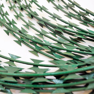 <span class=keywords><strong>Barbelé</strong></span> enduit <span class=keywords><strong>vert</strong></span> de rasoir pour la protection résidentielle - Product Image 3