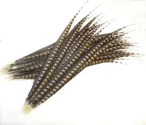 Venta barata 60-70 cm natural grande Lady Amherst Pheasant Tail Feather para carnaval danza rendimiento Decoración
