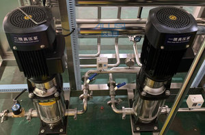 Équipement de traitement d'eau RO en acier inoxydable à deux étages 500L/H avec adoucisseur d'eau pour la production d'eau pure industrielle - Product Image 6