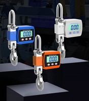 Báscula de Grúa Portátil de 500 kg con Pantalla Digital Electrónica, Báscula de Eje con Gancho de 300 kg, Verificador de Peso
