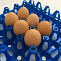 Vassoio per uova di pollo in plastica per le vendite