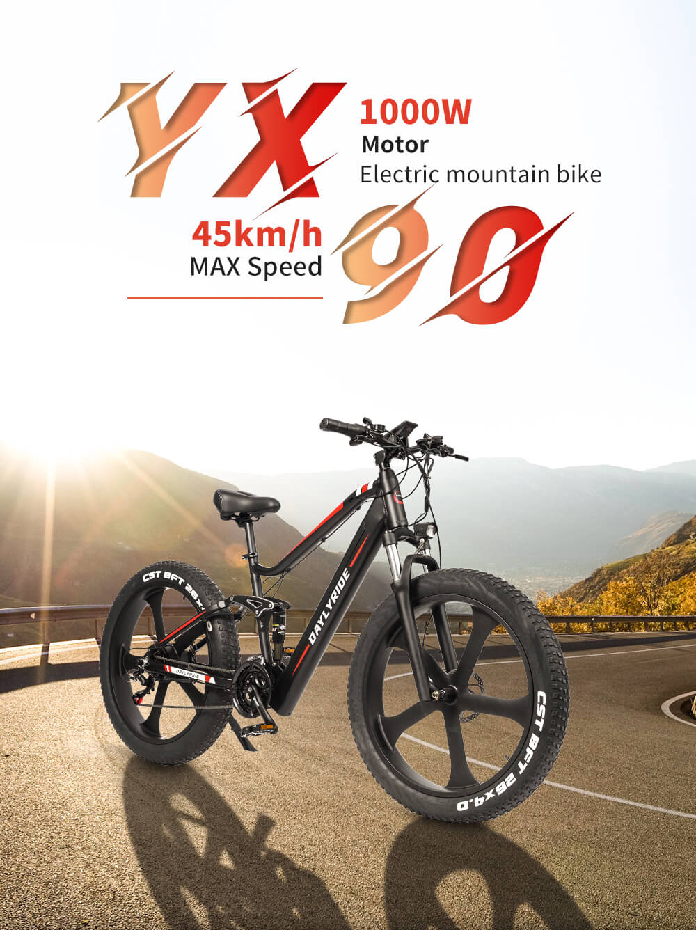 Electric bike 1000W Dailyride LEO Magnesium rims