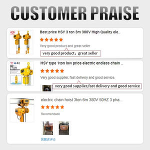 Polipasto Eléctrico Pequeño de Cadena de 5 Toneladas, 110v <span class=keywords><strong>220v</strong></span>, de Fábrica, con Control Remoto, <span class=keywords><strong>Micro</strong></span> Max Load - Product Image 6