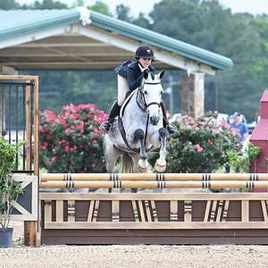 China Aochi Factory Durable Other Horse Products Equestrian Equipment Horse Jumping Poles Horse <strong>Show</strong> <strong>Jumps</strong> - Product Image 3