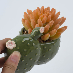 Piante succulente artificiali dei piccoli vasi da fiori ceramici a forma di <span class=keywords><strong>cactus</strong></span> su ordinazione all'ingrosso mini - Product Image 4