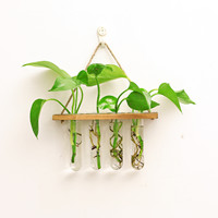 Tube à essai en verre suspendu vase à plantes hydroponiques petit vase en verre pour décoration murale pendentif maison salon