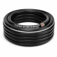 Câble d'alimentation blindé en cuivre à grande section YJV22 0,6/1 kV 3*50 mm², isolé XLPE pour courant élevé 3*50 mm²