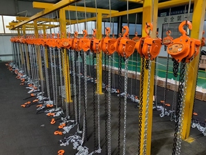 2022 New 1ton 2ton 3ton Nâng Chiều Cao 3M 6M Của Nhãn Hiệu Crane <span class=keywords><strong>Lever</strong></span> Tời 20T Tay Khối Chuỗi Palăng - Product Image 5