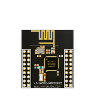 Fournisseur de modules Holyiot NRF52832, balise BLE, capteur de température et d'humidité, module IoT Ibeacon, Bluetooth BLE 4.2 BLE 5.0
