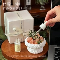 Diffuseur de parfum en pierre de sel de l'Himalaya naturel, minimaliste, frais et élégant, avec bol en cristal, pour chambre, bureau, relaxation, cadeau de vacances