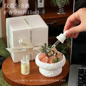 Minimal Fresh Elegant Natural Himalayan Salt Crystal <b>Reed</b> <b>Diffuser</b> Stone Bowl Aroma Set Bedroom Desk Relaxation Holiday Gifting - Product Image 1